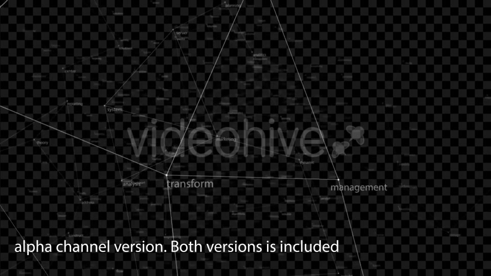 Information Network Videohive 16121477 Motion Graphics Image 8