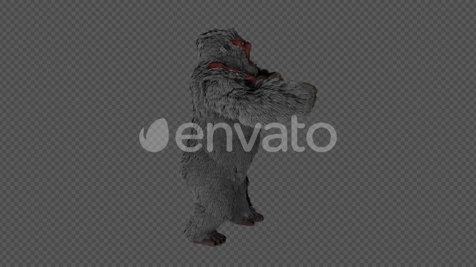 Injured Gorilla Kingkong Pack 4 IN 1 Videohive 22109950 Motion Graphics Image 1