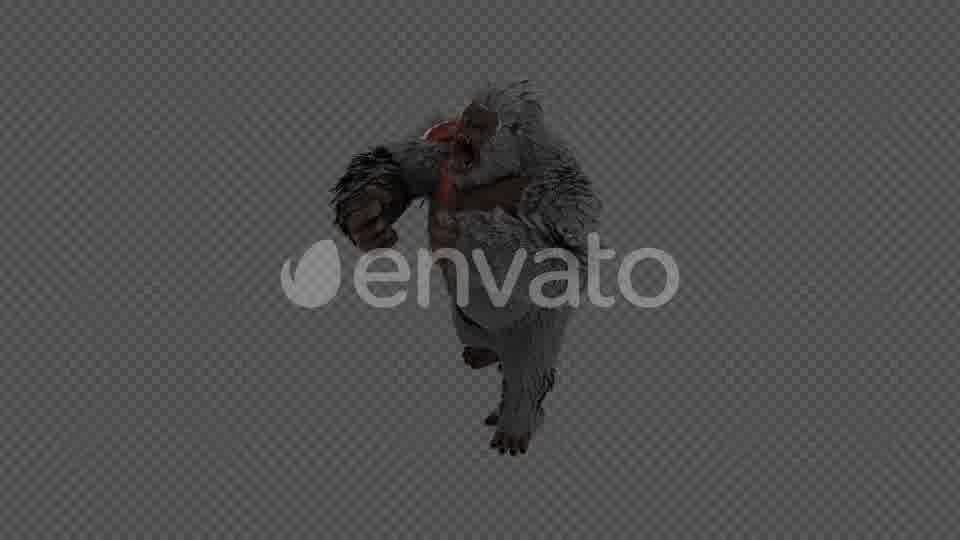 Injured Gorilla Kingkong Pack 4 IN 1 Videohive 22109950 Motion Graphics Image 12