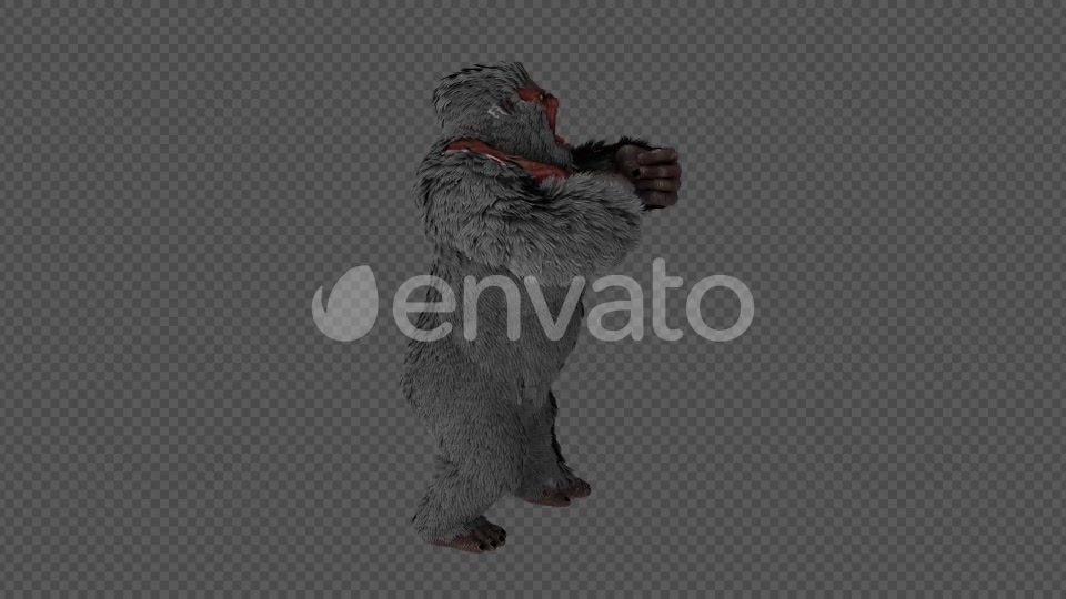 Injured Gorilla Kingkong Pack 4 IN 1 Videohive 22109950 Motion Graphics Image 2