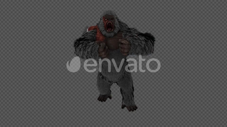 Injured Gorilla Kingkong Pack 4 IN 1 Videohive 22109950 Motion Graphics Image 4