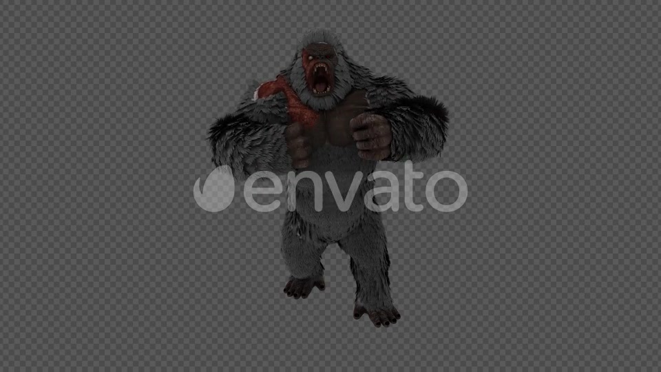 Injured Gorilla Kingkong Pack 4 IN 1 Videohive 22109950 Motion Graphics Image 5