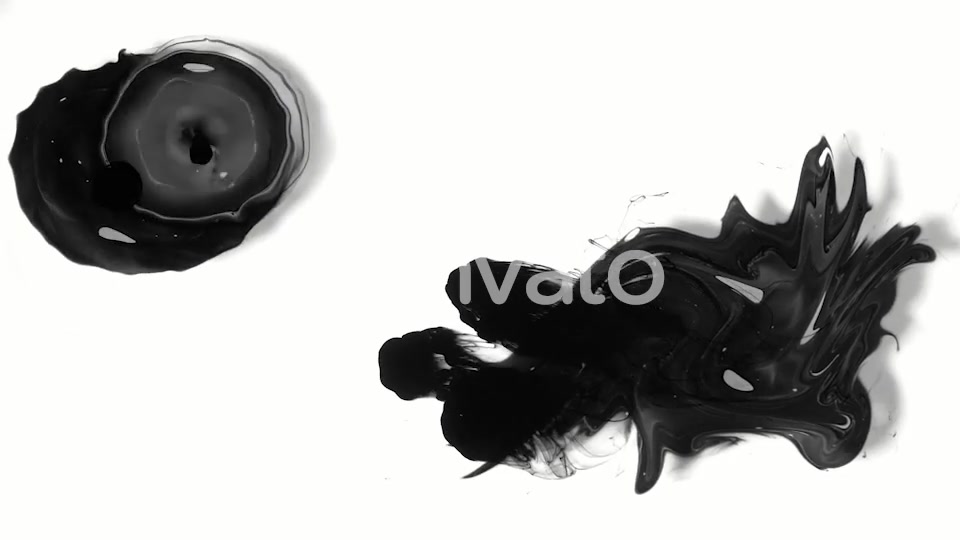 Ink and Paint Set Videohive 22075212 Motion Graphics Image 5