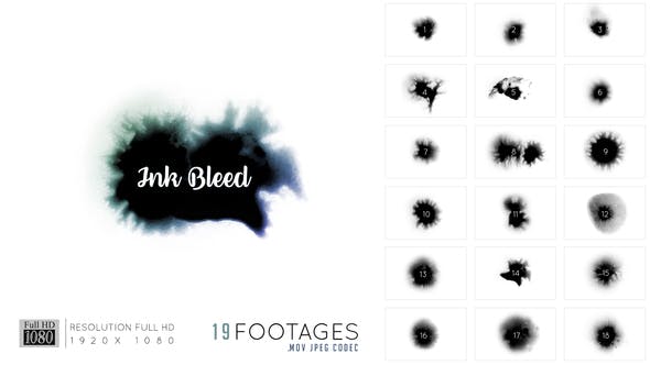 Ink Bleed - Download Videohive 22399963