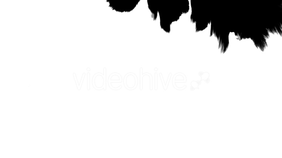 Ink Flowing From Top To Bottom on Wet Paper 04 Videohive 19697827 Motion Graphics Image 2