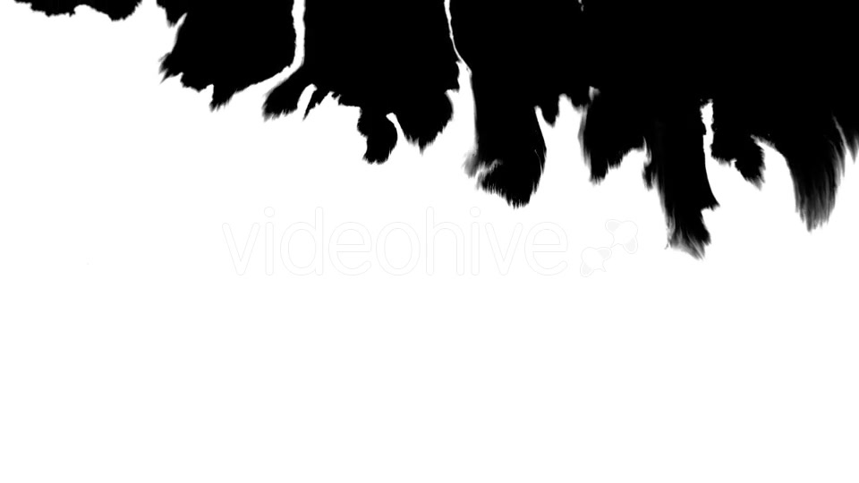 Ink Flowing From Top To Bottom on Wet Paper 04 Videohive 19697827 Motion Graphics Image 3