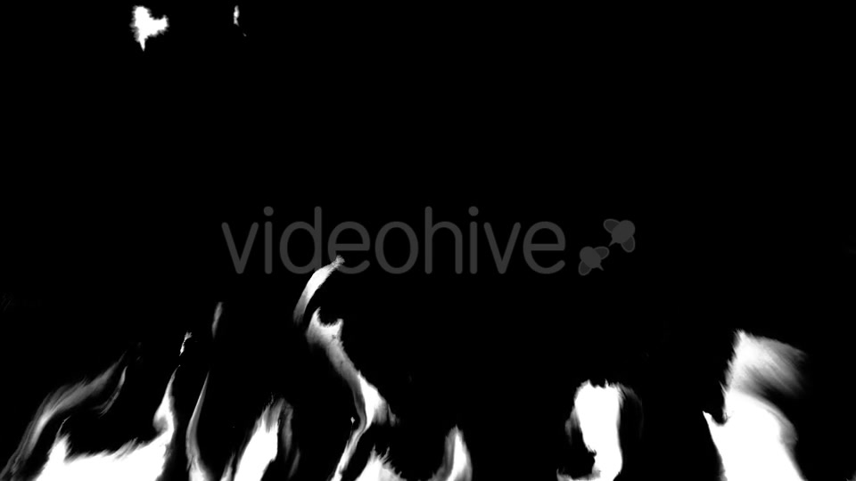 Ink Flowing From Top To Bottom on Wet Paper 07 Videohive 19698047 Motion Graphics Image 8