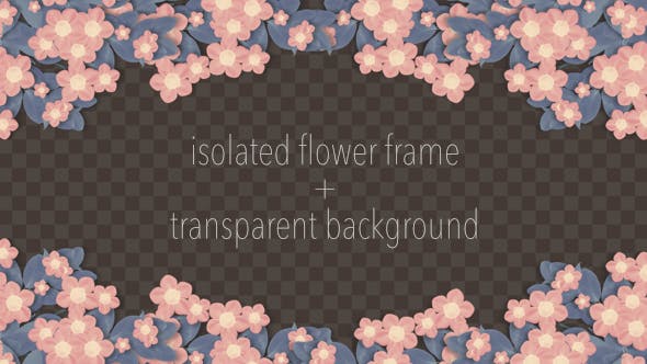 Isolated Blooming Flower Frame - 19616939 Videohive Download