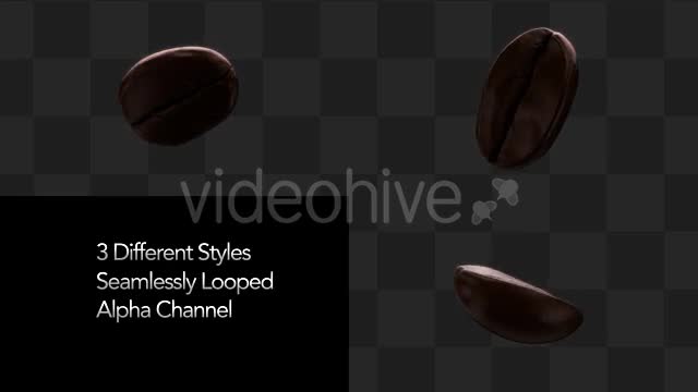 Isolated Coffee Beans Rotating Videohive 10071267 Motion Graphics Image 1