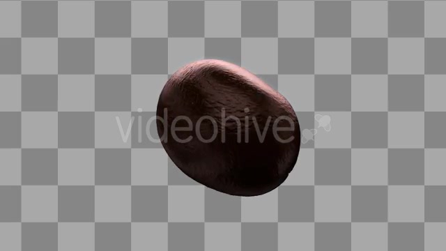 Isolated Coffee Beans Rotating Videohive 10071267 Motion Graphics Image 3