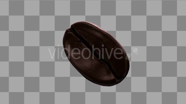 Isolated Coffee Beans Rotating Videohive 10071267 Motion Graphics Image 6