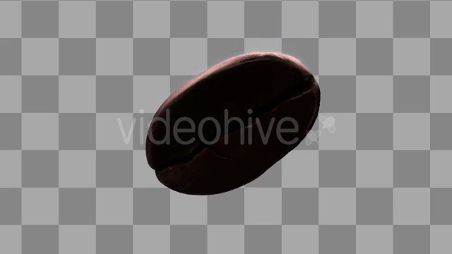 Isolated Coffee Beans Rotating Videohive 10071267 Motion Graphics Image 7