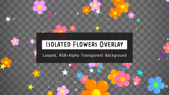 Isolated Flowers Overlay - Download Videohive 23630751