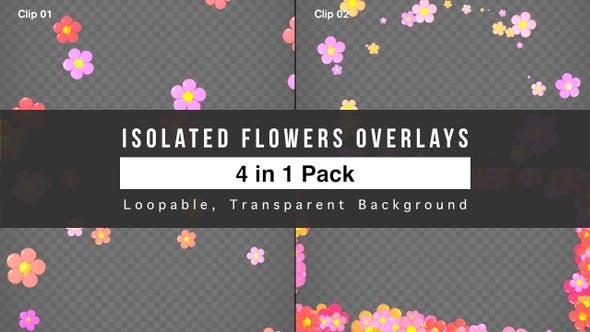 Isolated Flowers Overlays Pack - Videohive 23393384 Download