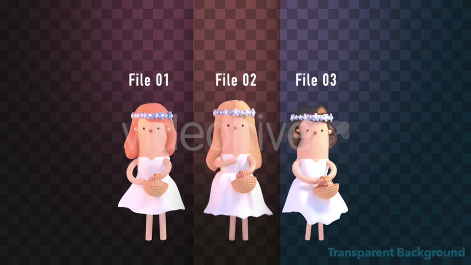 Isolated Toon Bridesmaid Videohive 20349334 Motion Graphics Image 3