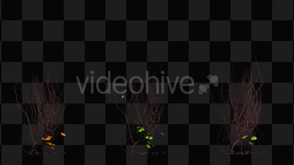 Ivy Animation Videohive 13135721 Motion Graphics Image 11