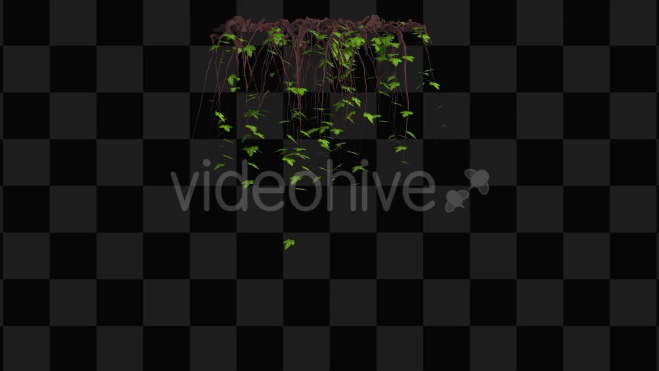 Ivy Animation Videohive 13135721 Motion Graphics Image 7