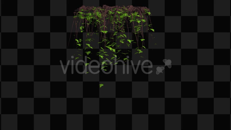Ivy Animation Videohive 13135721 Motion Graphics Image 8