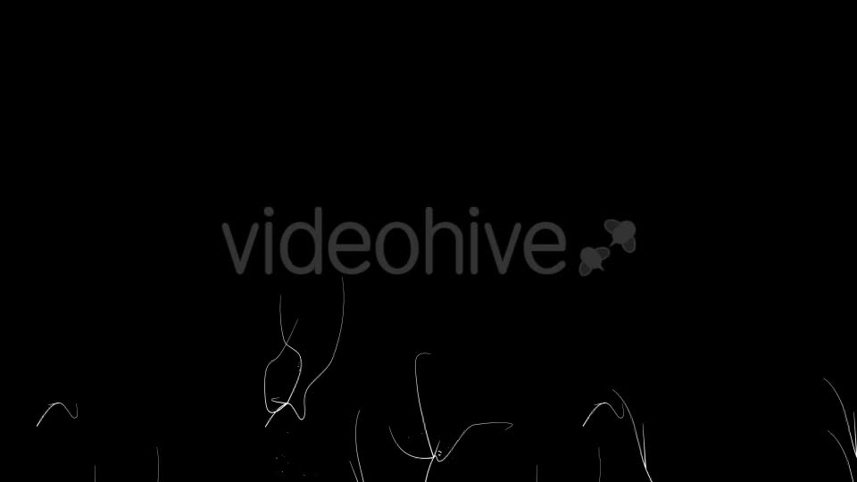 Ivy Blue Flowers Growing Videohive 12221361 Motion Graphics Image 6