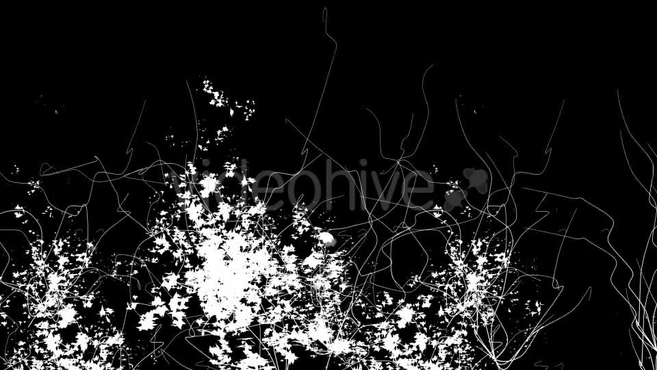 Ivy Blue Flowers Growing Videohive 12221361 Motion Graphics Image 7