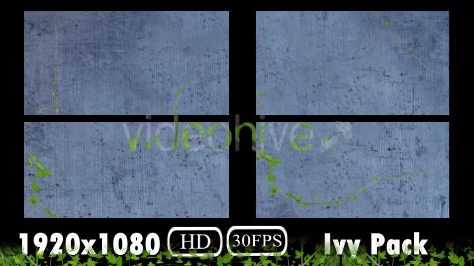 Ivy Growing Pack Videohive 20106759 Motion Graphics Image 1