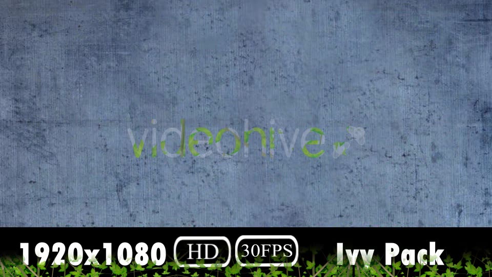 Ivy Growing Pack Videohive 20106759 Motion Graphics Image 3