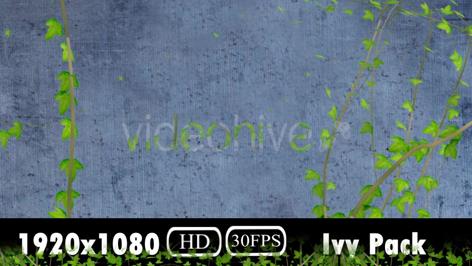 Ivy Growing Pack Videohive 20106759 Motion Graphics Image 4