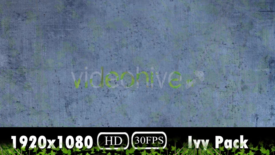Ivy Growing Pack Videohive 20106759 Motion Graphics Image 5