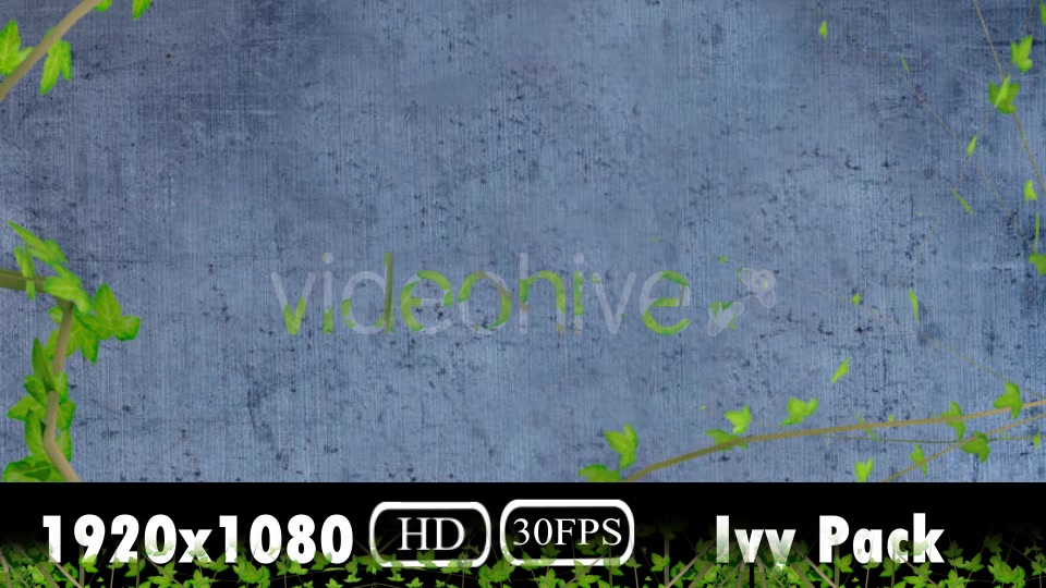 Ivy Growing Pack Videohive 20106759 Motion Graphics Image 6
