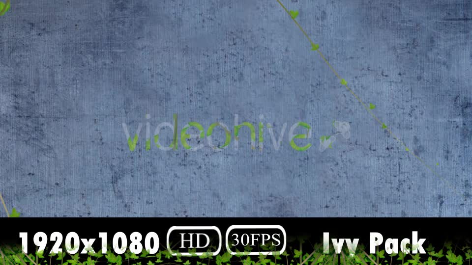 Ivy Growing Pack Videohive 20106759 Motion Graphics Image 8