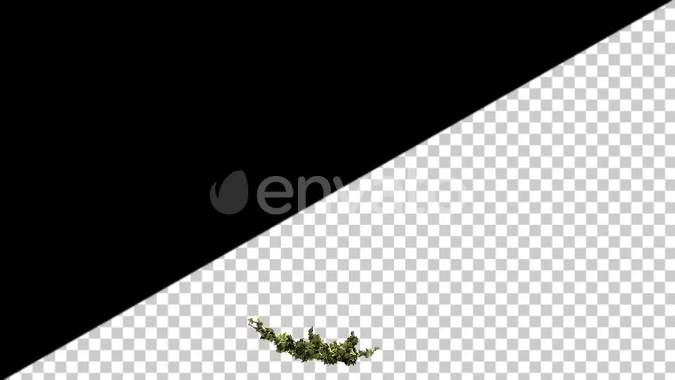 Ivy Growth Videohive 24231625 Motion Graphics Image 1