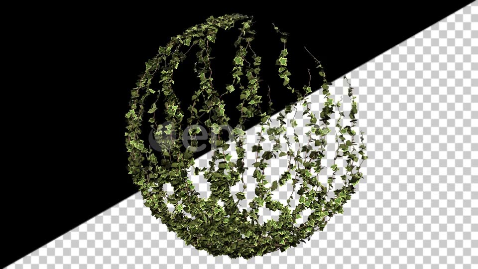 Ivy Growth Videohive 24231625 Motion Graphics Image 2