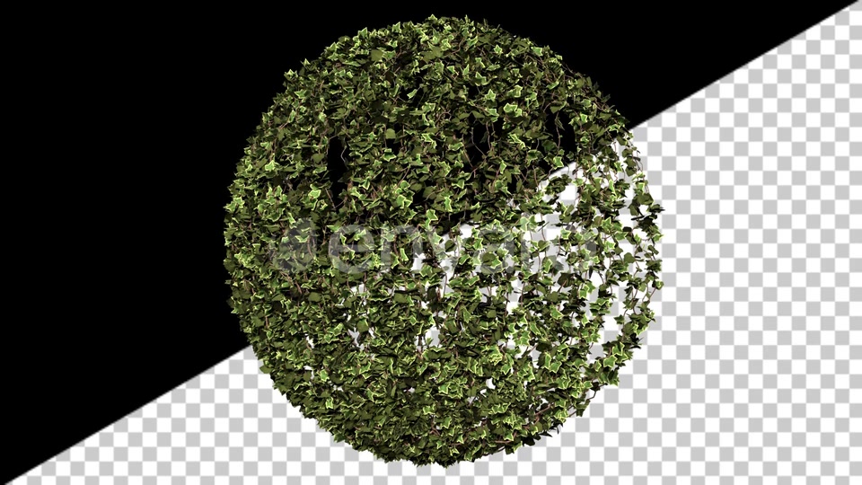 Ivy Growth Videohive 24231625 Motion Graphics Image 4