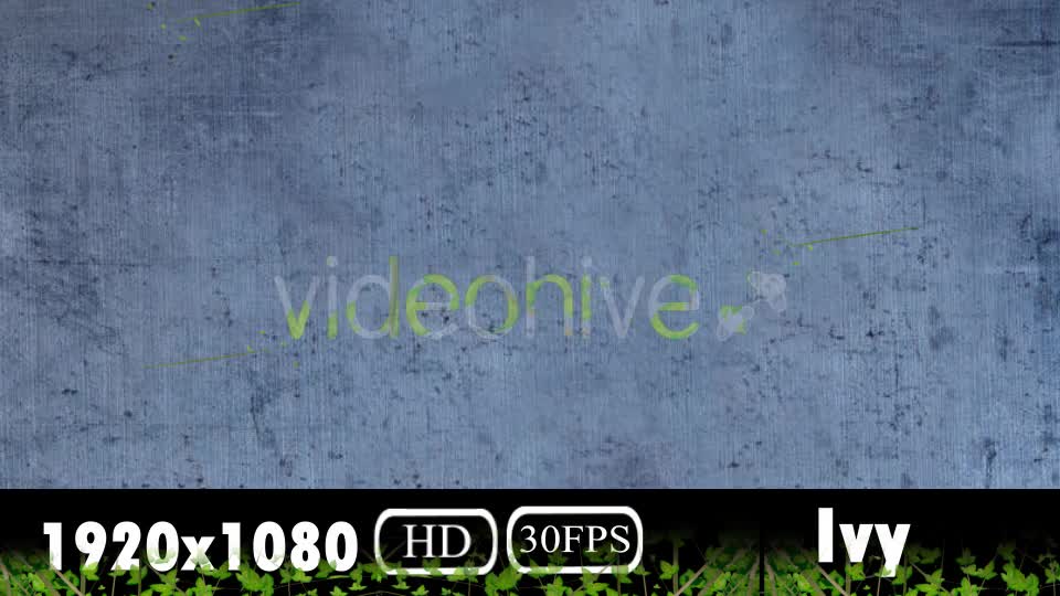 Ivy Transition Videohive 20108032 Motion Graphics Image 1