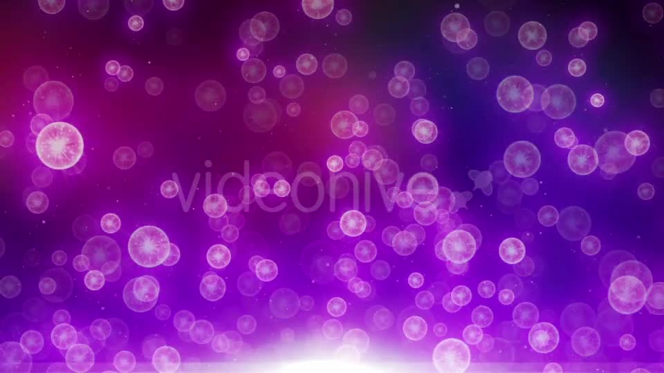 Jellyfish Particle Videohive 20455690 Motion Graphics Image 1