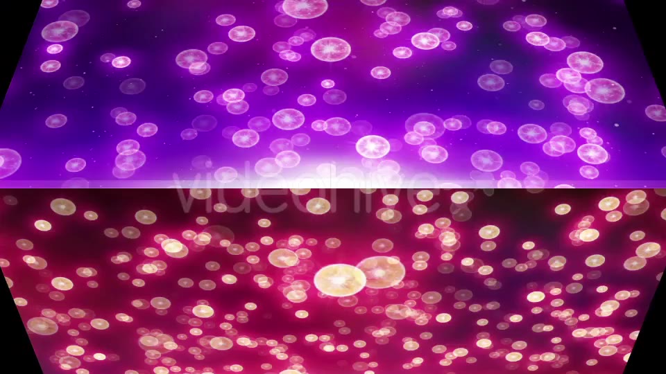 Jellyfish Particle Videohive 20455690 Motion Graphics Image 2