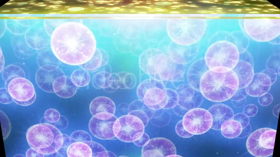 Jellyfish Particle Videohive 20455690 Motion Graphics Image 5