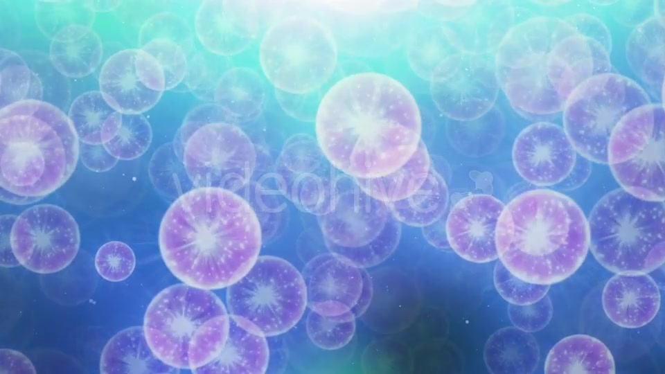 Jellyfish Particle Videohive 20455690 Motion Graphics Image 6