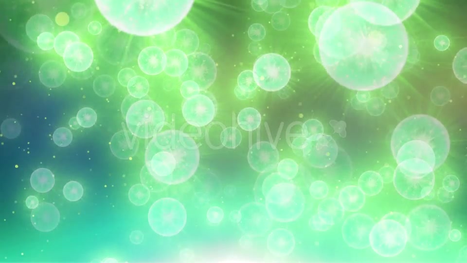 Jellyfish Particle Videohive 20455690 Motion Graphics Image 7