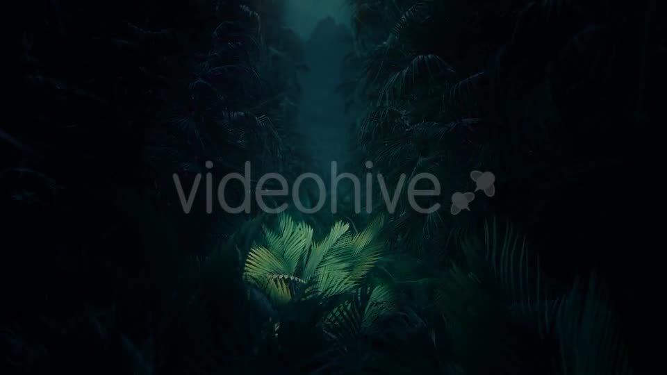 Jungle Palms 02 4K Videohive 20416131 Motion Graphics Image 1