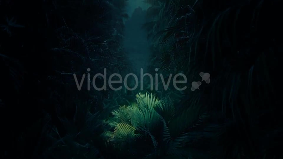 Jungle Palms 02 4K Videohive 20416131 Motion Graphics Image 3