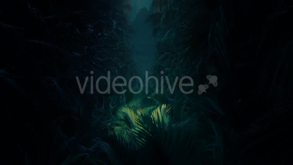 Jungle Palms 02 4K Videohive 20416131 Motion Graphics Image 4
