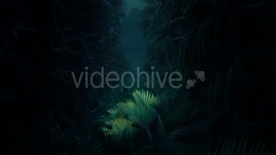 Jungle Palms 02 4K Videohive 20416131 Motion Graphics Image 8