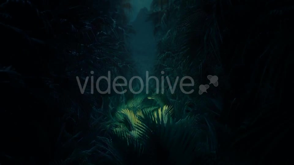 Jungle Palms 02 4K Videohive 20416131 Motion Graphics Image 9