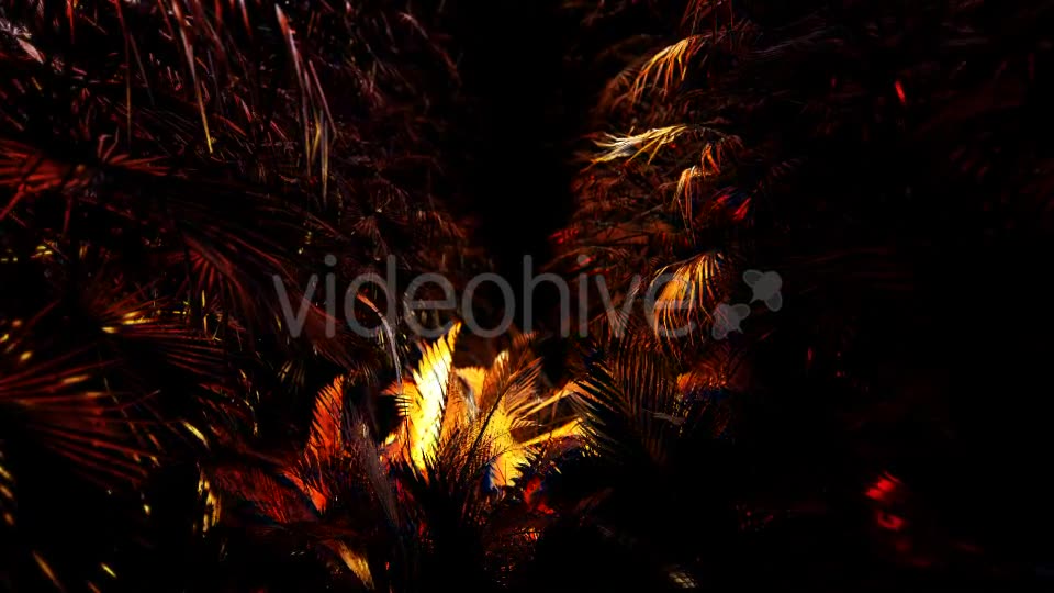 Jungle Palms 03 4K Videohive 20468218 Motion Graphics Image 10