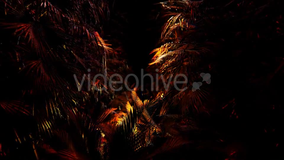 Jungle Palms 03 4K Videohive 20468218 Motion Graphics Image 2