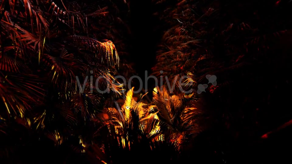 Jungle Palms 03 4K Videohive 20468218 Motion Graphics Image 4