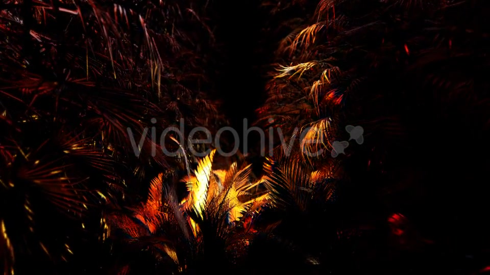 Jungle Palms 03 4K Videohive 20468218 Motion Graphics Image 5