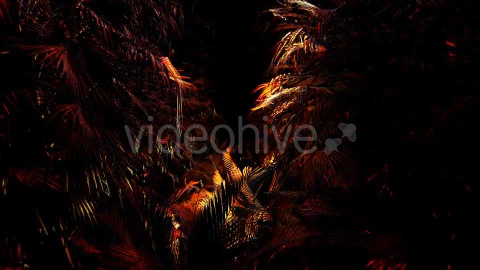 Jungle Palms 03 4K Videohive 20468218 Motion Graphics Image 7