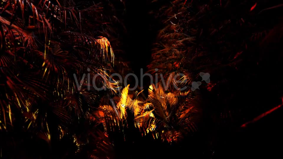 Jungle Palms 03 4K Videohive 20468218 Motion Graphics Image 9